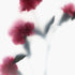Red Carnations Floral Art Print